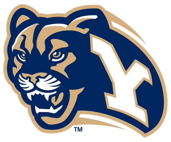 Brigham Young Cougars 1999-2004 Secondary Logo v2 iron on transfers for clothing...